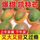 【爆甜-多汁】四川攀枝花凱特芒果當(dāng)季新鮮大青皮芒果熱帶水果 9斤帶箱凈重8.5斤 單果300g起