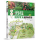 剪枝——庭院常見植物修剪（庭要素） 藤蔓、樹籬、花木、果木修剪、造型