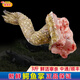 桃李旺（taoliwang）鱷魚生鮮肉 新鮮現(xiàn)殺整條鱷魚 鱷魚尾 鱷魚掌 鱷魚身段年貨送禮盒 【1.5kg】整只鱷魚掌