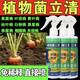 植物菌立清殺菌劑通用型花病康百菌靈免稀釋殺菌通用微生物菌劑營(yíng) 【帶噴頭】 900g 3瓶
