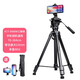 云騰（YUNTENG） VCT-999三腳架云臺套裝微單數碼單反相機攝像機鋁合金超輕三角架 999三腳架（高度71-206cm）云騰橫豎手機夾