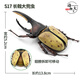 昆蟲(chóng)仿真模型兒童認知玩具禮物甲蟲(chóng)蜻蜓蝴蝶蜜蜂塑膠動(dòng)物擺件套裝 S17 長(cháng)戟兜蟲(chóng) 大號