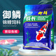 彩錦王御鱗錦鯉魚(yú)食飼料 金魚(yú)糧觀(guān)賞魚(yú)增體魚(yú)料 增色成長(cháng)均衡炫楊上浮型 1Kg 成長(cháng)【小?！窟m合體長(cháng)7-15cm魚(yú)食用