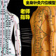 高博士人體針灸模型經(jīng)絡(luò)穴位中醫(yī)全身十二銅人模特圖小人扎針練習(xí)小皮人 【扎針款】62CM女銅色-超清大字體-軟模