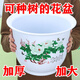慕帆仿陶瓷花盆加厚樹(shù)脂特大陽(yáng)臺家用特價(jià)清倉專(zhuān)用帶托盤(pán)耐用種花室內 加厚牡丹TF白色(送托盤(pán)) 360#大號(口徑35高26cm）