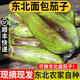 良知農(nóng)哥【順豐可選】東北面包茄子 新鮮現(xiàn)摘花茄子可做烤茄子 5斤 順豐快遞