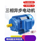 YE2三相異步電動機(jī)0.55/0.75/1.5/2.2/3/4KW調(diào)速電機(jī)國標(biāo)銅線380V YE2-100L-2  3KW