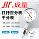 成量杠桿百分表 千分表 杠桿指示表 杠桿百分表0-0.8mm