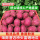 海南正宗橋頭地瓜【拒假貨】高端地瓜橋頭鎮(zhèn)發(fā)貨板栗紅薯富硒 精品圓果2-7倆單果重5斤裝 金黃