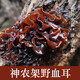 聖武山珍湖北特產(chǎn)神農架血耳血木耳干貨深山野耳30g干貨