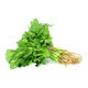 帶根香菜100g