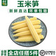 千牛優(yōu)福新鮮甜玉米筍250g 迷你玉米棒小玉米芯仔水果玉米 半斤