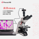 鳳凰（Phenix）專業(yè)生物顯微鏡PH100-3A41L-PL高清醫(yī)學(xué)實驗室血液螨蟲細菌活精 套餐2高配+500萬像素USB接電腦
