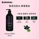 bananal芭娜奈兒洗發(fā)水韓國洗發(fā)水香氛洗發(fā)水護發(fā)素500ml 洗發(fā)水_黑莓雪松