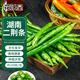 花沃里湖南二荊條辣椒種子100粒/包 線(xiàn)椒蔬菜種子家庭盆栽陽(yáng)臺辦公庭院