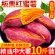 琦拉當(dāng)季現(xiàn)挖紅薯10斤 農(nóng)家自種西瓜紅蜜薯板栗薯番薯紅薯整箱 紅薯  帶箱9-10斤裝大果