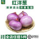 千牛優(yōu)福紅洋蔥500g 生吃紫皮圓蔥頭蔬菜新鮮農(nóng)家自種
