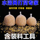 郁郁魚水溶網(wǎng)慢溶速溶歐式釣組打窩網(wǎng)釣魚庫(kù)釣野釣水溶袋餌料窩料溶解網(wǎng) 3分鐘慢溶4.4*10米發(fā)11米