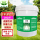 沐達(dá)生物貞白大樹涂白劑園林苗木液態(tài)保護(hù)膜樹干涂白劑防蟲防寒防凍防日灼