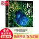 【當(dāng)當(dāng)】當(dāng)當(dāng)豐盛 楊定一 精裝+彩印 簡體中文版圖書（步入生命的豐盛，成功和幸福滾滾而來）