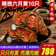 【活蟹】陽(yáng)澄清歆大閘蟹 鮮活特大螃蟹公蟹母蟹 海鮮水產(chǎn)生鮮禮盒 稀缺六月黃4.0-4.3兩 十只預定裝