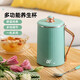 摩茶養生杯迷你電燉杯便攜式煮茶熱牛奶神器熬粥mini辦公室熱奶杯養生壺燒水杯多功能養身壺 淺衫綠【送勺子】 0.45L