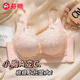 芬騰（FENTENG）芬騰內(nèi)衣女小胸聚攏顯大上托性感蕾絲收副乳防下垂調(diào)整型文胸罩秋 膚粉色 38/85AB（厚度2cm）