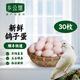 鄉公館鴿子蛋新鮮土鴿子蛋農家特產(chǎn)雜糧喂養白鴿蛋信鴿蛋孕婦寶寶禮盒裝 30枚鴿子蛋【 新鮮現撿· 農家散養】