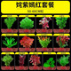 勝畫(huà)魚(yú)缸水草植物直接入缸真水草凈化竹節草蜈蚣草懶人養魚(yú)水草造景 【入缸成景套餐D】適合50-60CM缸