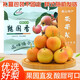 鮮姿遼寧南國(guó)梨南果梨香水梨醉梨酒香梨禮盒東北特產(chǎn)水果 4.5-4.8斤陽(yáng)面紅果禮盒約24枚