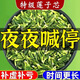 蓮子心茶泡水蓮子芯干貨中藥材清心特級蓮芯天然花茶養生蓮子心茶 2罐120g蓮子心茶