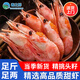 春之鮮當(dāng)天新鮮捕撈北極甜蝦頭籽新鮮發(fā)貨生鮮蝦類鮮活冷凍冰蝦海鮮水產(chǎn) 甜蝦 500g(凈重)