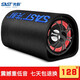 先科（SAST） 車(chē)載音響汽車(chē)低音炮 12V/24V/220V USB插卡有源重低音音箱大功率便攜式 隧道形  6英寸 藍牙通話(huà)版【送12V/24V點(diǎn)煙器】