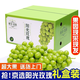 果益壽江蘇陽光玫瑰葡萄國產(chǎn)晴王葡萄整箱當季新鮮水果禮盒中秋節(jié)送禮品 一級果2斤禮盒裝單果10-12g