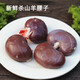 果亦橙農(nóng)家散養(yǎng)山羊腰子 新鮮羊腎現(xiàn)宰冷凍生鮮羊?qū)?烤羊腰火鍋食材燒烤 1500g/3斤【冷鏈生鮮】