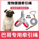 哇米巴哥專(zhuān)用狗狗胸背帶牽引繩中小型犬脖圈背心式遛狗繩寵物項圈 紅色+1.5米牽引繩 M-（建議12-22斤）