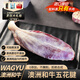 西帕克澳洲和牛五花腱 原切牛肉新鮮純腱子芯生鮮牛腱肉 1000g