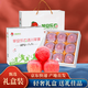 洛川蘋(píng)果（luochuanapple）【順豐】陜西洛川蘋(píng)果陜西蘋(píng)果禮盒脆甜多汁洛川蘋(píng)果新果送禮佳選 9枚90mm 蘋(píng)安幸福 尊享禮盒