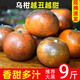 烏柑黑皮沃柑新鮮水果柑橘廣西武鳴大果丑柑橘臟臟柑橘9/5斤 9斤 中果1斤6個左右