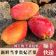 舅甜果蔬海南樹(shù)上熟貴妃芒果【順豐空運多地隔日達】三亞老樹(shù)樹(shù)上熟禮盒裝 精美禮盒裝 5斤