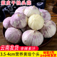 玉燕妃云南正宗新鮮紫皮獨(dú)頭大蒜獨(dú)蒜干蒜 農(nóng)家露天自種助農(nóng)生鮮蔬菜 3.5-4cm獨(dú)頭紫皮大蒜干蒜 4斤