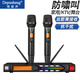 depusheng得普聲R7無(wú)線(xiàn)麥克風(fēng)家庭家用KTV唱歌U段可調頻一拖二專(zhuān)業(yè)話(huà)筒演出家庭影院 R7專(zhuān)業(yè)無(wú)線(xiàn)麥克風(fēng)