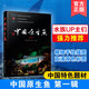 **原生魚diyi輯**原生魚圖鑒魚類活體原生觀賞魚圖鑒書集特色魚種類介紹書籍淡水魚野生魚溪流冷水魚科普書海洋生物知識書大全