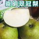 上海崇明翠冠梨精品大果新鮮梨子現(xiàn)貨 9斤