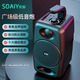 索愛(ài)（soaiy）SH36藍(lán)牙音箱高音質(zhì)便攜式戶(hù)外大音量廣場(chǎng)舞小型音響低音炮店鋪收款話(huà)筒家用K歌麥克風(fēng)車(chē)載無(wú)線 黑色標(biāo)準(zhǔn)版丨廣場(chǎng)級(jí)低音炮