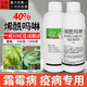 烯酰嗎啉殺菌劑農(nóng)藥霜霉病專用藥疫病葡萄蔬菜黃瓜西紅柿唏酰嗎啉 1000g