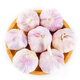 仙果春天新干蒜大蒜頭新鮮蔬菜種籽干大蒜大祘紫皮生鮮蔬菜 干大蒜中果1斤