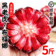 夢(mèng)茜兒順豐 黑老虎 5斤水果野生新鮮惡魔果實(shí)云南熱帶罕見(jiàn)布福娜特產(chǎn) 1斤 A級大果｜中通