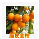 仟草集砂糖橘正宗四會(huì )砂糖橘苗橘子樹(shù)苗無(wú)核桔子苗金桔柑橘苗果樹(shù)苗 脆皮金桔3年苗