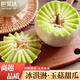 世果達(dá)冰淇淋玉菇甜瓜山東莘縣白瓜南匯特產(chǎn)綠寶蜜香瓜新鮮水果整箱 玉菇甜瓜2-4個(gè)裝（8-8.5斤）